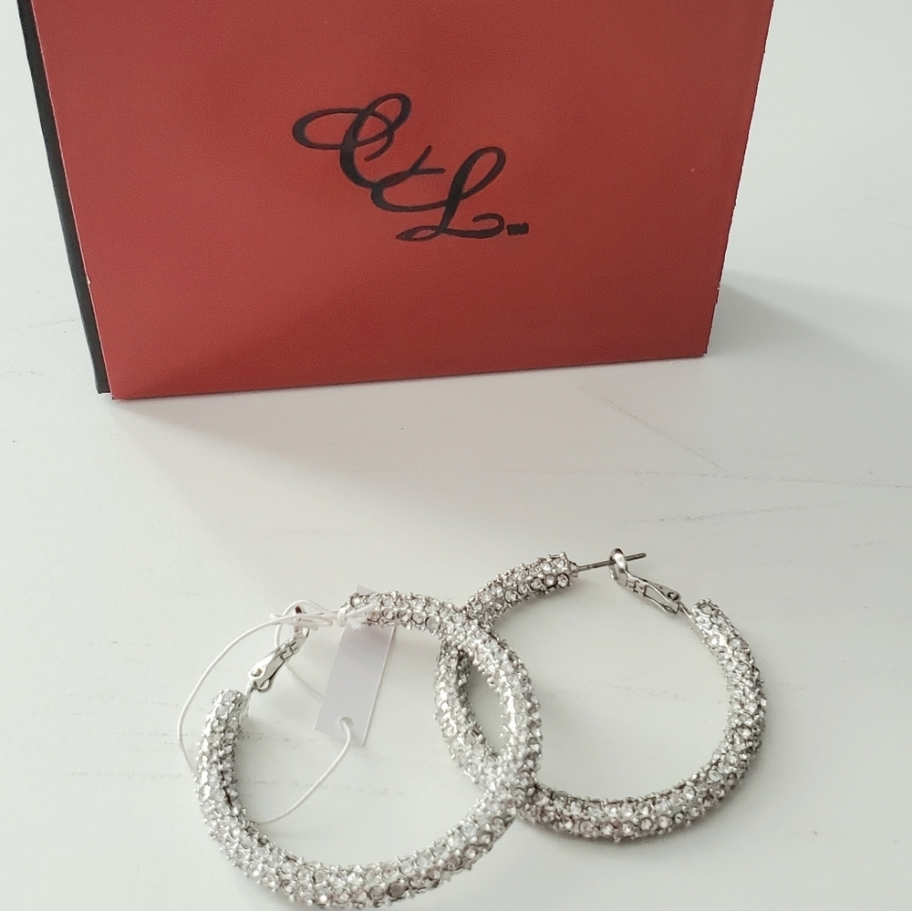 Colleen Lopez Pavè Crystal Hoop Earrings